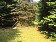 IMG 2885 Verkauft.!! 2 Baugrundst�cke 3162 m2, teilbar, Delmenhorst n�he Tiergarten !