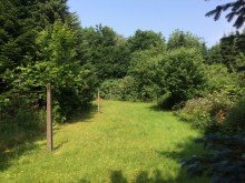 IMG 2886 Verkauft.!! 2 Baugrundst�cke 3162 m2, teilbar, Delmenhorst n�he Tiergarten !