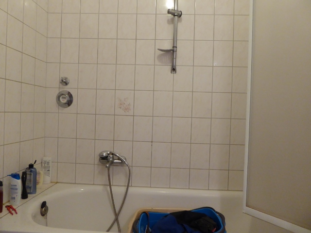 P1010432 (640x480) Erdgeschosswohnung Schee�el