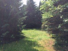 IMG 2883 Verkauft.!! 2 Baugrundst�cke 3162 m2, teilbar, Delmenhorst n�he Tiergarten !